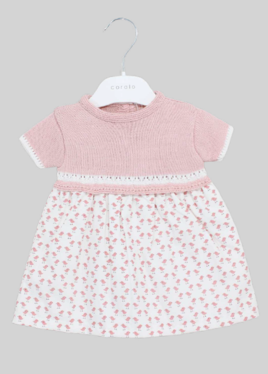 Vestido pollitos rosa empolvado La Boutique de AyA 1010VE07 - La boutique de AyA La Boutique de AyA